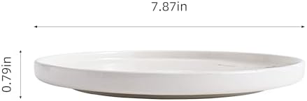 Ceramic Appetizer Plates, 8 Inch Dessert Plates/Salad Plate, Small Dinner Plates for Snacks, Side Dishes, Round Serving Plates (24, White Sakura) - Image 4