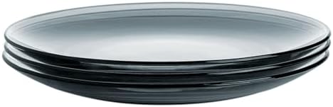 STP GOODS Glass Plates Set of 4 – Borosilicate Salad & Dessert Plates, Transparent Glass Appetizer Plates, Microwave & Dishwasher Safe Tableware (Gray 10.5") - Image 2