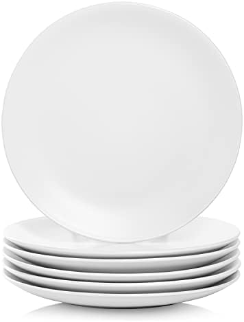 10 Strawberry Street Wazee Matte 10.5" Coupe Dinner Plate, Set of 6, White by 10StrawberryStreet