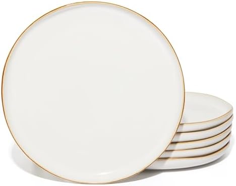Pokini 10 Inch Ceramic Dinner Plates Set of 6, Wavy Rim Stoneware Plates by Pokini