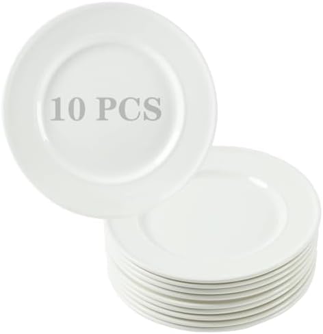10 Pieces 8 Inch Porcelain Salad Plates, Dessert Dinnerware Sets by TAMAYKIM
