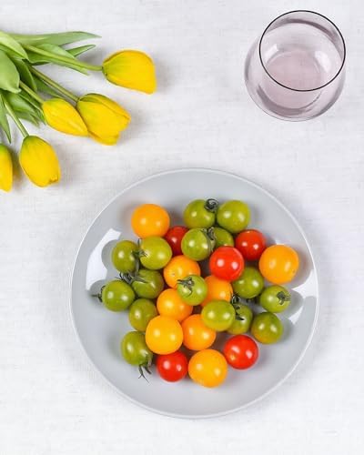 LaGlint 8.5 Inch Salad Plate Set of 6, Grey Opal Glass Round Plates - Image 3
