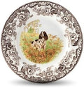 Spode Woodland Hunting Dogs English Springer Spaniel Salad Plate - 8 Inch Fine Earthenware, Dishwasher, Microwave & Warm Oven Safe to 225°F - Made in England Rustic Wildlife Tableware by Spode