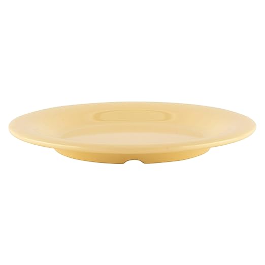 G.E.T. 10.5" Heavy-Duty Wide Rim Melamine Plastic Dinner Plate (Set of 12)