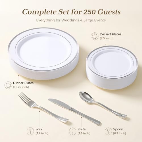 Goodluck 250 PCS Silver Rim Plastic Plates and Cutlery Set for 50 Guests - Image 3