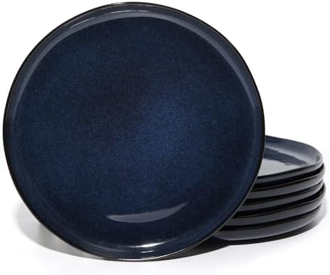 Pokini 10 Inch Ceramic Dinner Plates Set of 6, Wavy Rim Stoneware Plates by Pokini
