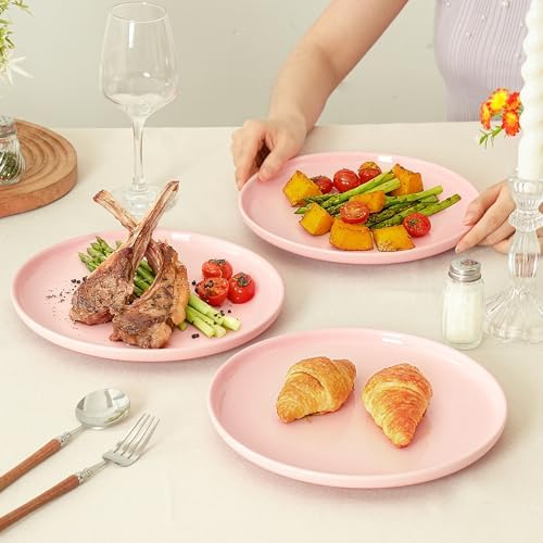 8-Inch Salad Plates, Set of 4, Pink - Image 5
