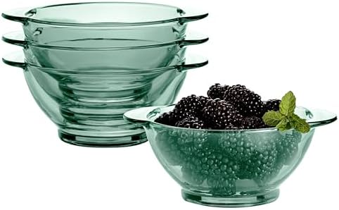 STP GOODS Glass Dinner Plates Set of 4 – Borosilicate Salad & Soup Plates, Transparent Glass Serving Plates for Pasta, Bread, Dessert & Appetizers, Dishwasher Safe Tableware by STP-Goods