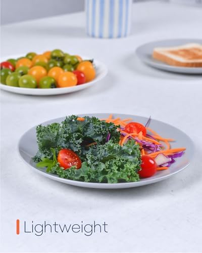 LaGlint 8.5 Inch Salad Plate Set of 6, Grey Opal Glass Round Plates - Image 5