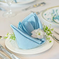 FOLINS&HOME Baby Blue Cloth Napkins Set of 4 Decorative 17x17 Inch Napkins by FOLINSHOME