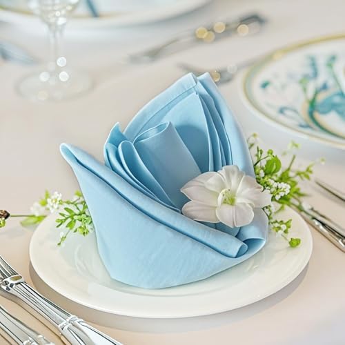 FOLINS&HOME Baby Blue Cloth Napkins Set of 4 Decorative 17x17 Inch Napkins by FOLINSHOME