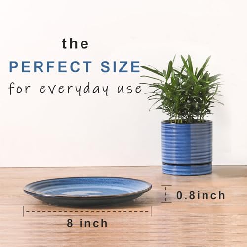 HASENSE Dessert Plates Set of 4, 8 Inch Porcelain Salad Dinner Plates Set for Kitchen, Flat Serving Dishes for Appetizer, Pasta, Side Dish, Snack, Microwave and Dishwasher Safe, Blue - Image 3