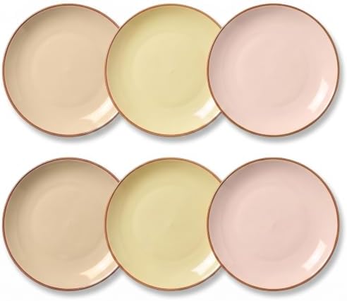 Dinner Plates Set of 6, 8 Inch Scratch Resistant Ceramic Plates, Pasta Plate, Salad Plate, for Main Course, Dishwasher and Microwave Safe, Warm Multicolor by AHX