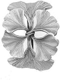 Ginkgo Leaf Napkin Rings Set of 4 Brushed Pewter Made in USA