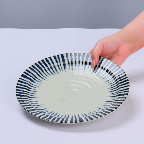 Japanese Plates Set, Indigo Blue, Serving Plates, Gift, Set of 2, 8.7 inch - Image 6