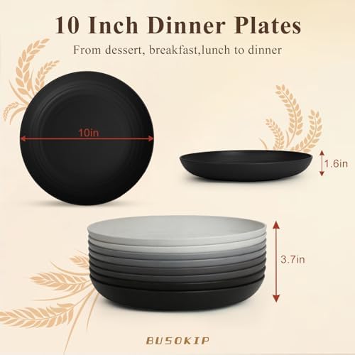10 Inch Kitchen Plates Set of 8, Microwavable Plates - BlackGrey - Image 2