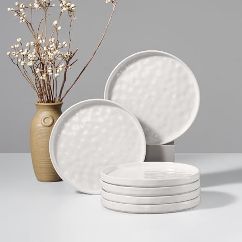 HaWare Stoneware Plates Set of 6, 7.9" Salad Plates, Reactive Glaze Ripple Ceramic Dish Set for Appetizer, Dessert, Scratch Resistant, Small Dinner Plate, Microwave and Dishwasher Safe, Speckled White by HaWare
