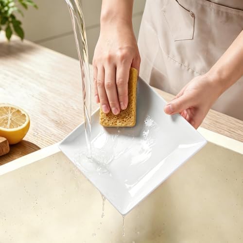 Square Appetizer Plates Set of 4, 8" Porcelain Dessert Plate - Image 5