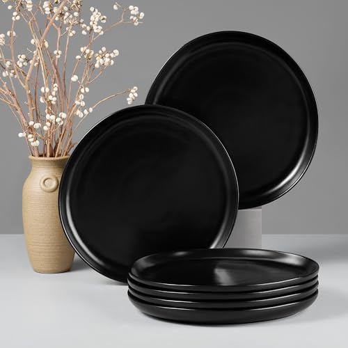 HaWare Stoneware Dinner Plates Set of 6, 10" Heavy Duty Ceramic Plates, Reactive Glaze Dinnerware for Home Restaurant, Chip and Scratch Resistant, Microwave and Dishwasher Safe, Matte Black by HaWare