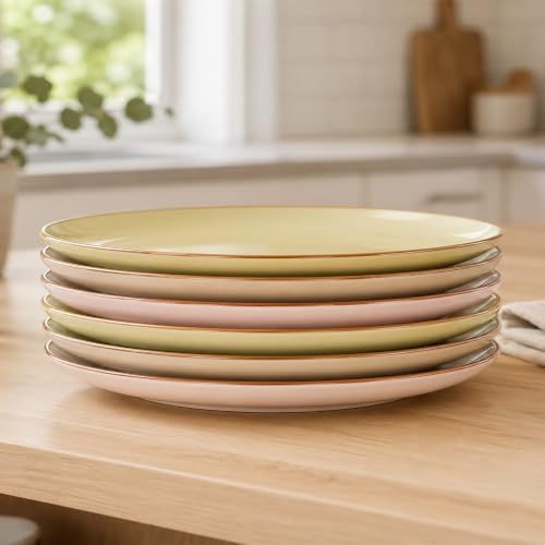 Dinner Plates Set of 6, 10 Inch Scratch Resistant Ceramic Plates, Pasta Plate, Salad Plate, for Main Course, Dishwasher and Microwave Safe, Warm Multicolor - Image 7