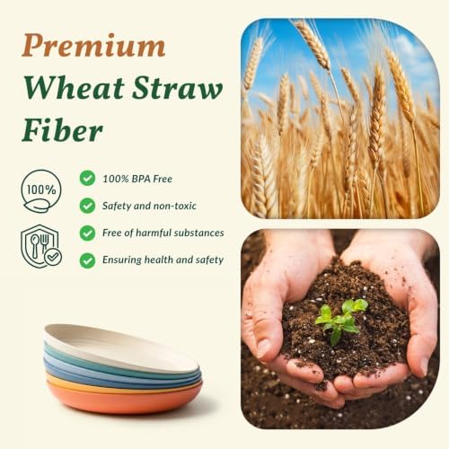 Homienly Deep Plate Set 6 PCS Reusable Dinner Plates Alternative for Plastic Plate Microwave and Dishwasher Safe Wheat Straw Plates for Kitchen Unbreakable 10 Inch Salad Plates for Outdoor (Multi) - Image 3