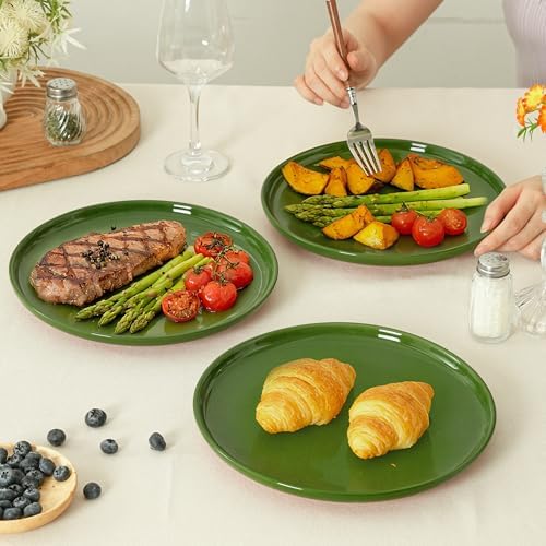 10.25-Inch Dinner Plates, Set of 4, Forest Glaze Green - Image 5