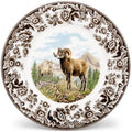 Spode Woodland Bighorn Sheep Salad Plate - 8" Fine Earthenware, British Flowers Border, Rustic Game Animal Design Made in England - Microwave, Oven, Freezer, Dishwasher Safe for Holiday Dining by Spode