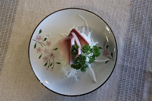 Ceramic Appetizer/Dinner Plates, 8 Inch Round Serving Plates (4, Pink Sakura) - Image 3