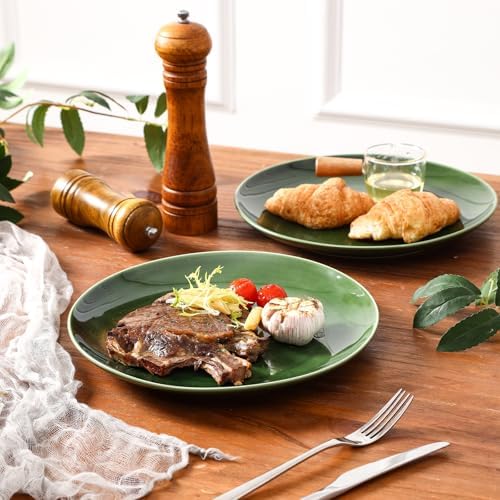 vicrays Ceramic Round Plates Set of 6 - Porcelain 10 inch Dinner Plates for Salad Dessert Appetizer Bread - Microwave Oven and Dishwasher Safe - Green - Image 4