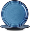 HASENSE Ceramic Dinner Plates Set of 2,10 Inch Large Porcelain Pasta and Salad Plates,Blue Stoneware Plate Set Microwave,Oven,and Dishwasher Safe by Hasense