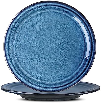 HASENSE Ceramic Dinner Plates Set of 2,10 Inch Large Porcelain Pasta and Salad Plates,Blue Stoneware Plate Set Microwave,Oven,and Dishwasher Safe by Hasense