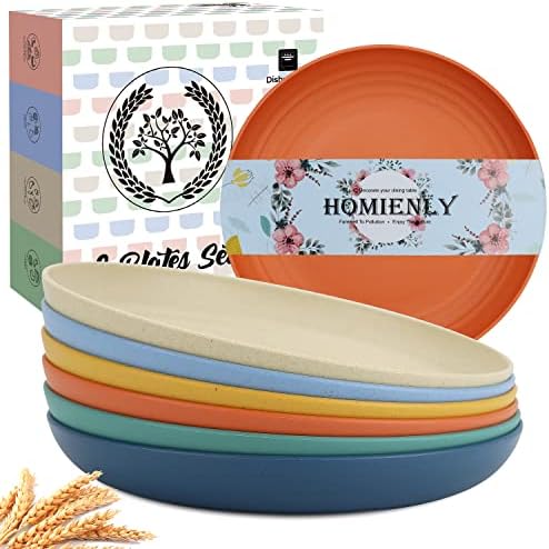 Homienly Deep Plate Set 6 PCS Reusable Dinner Plates Alternative for Plastic Plate Microwave and Dishwasher Safe Wheat Straw Plates for Kitchen Unbreakable 10 Inch Salad Plates for Outdoor (Multi) by HOMIENLY