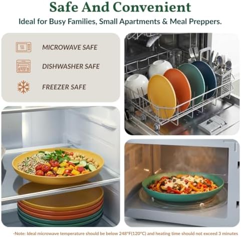 Homienly Deep Plate Set 6 PCS Reusable Dinner Plates Alternative for Plastic Plate Microwave and Dishwasher Safe Wheat Straw Plates for Kitchen Unbreakable 10 Inch Salad Plates for Outdoor (Multi) - Image 5