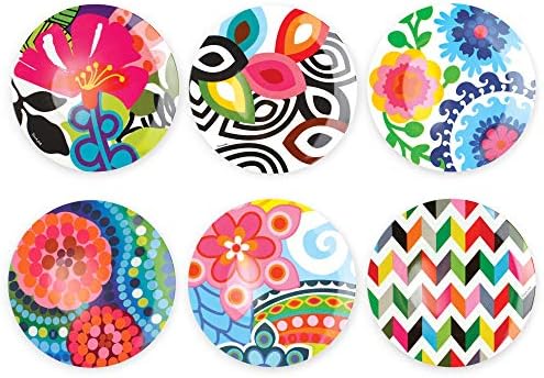 French Bull Melamine Assorted Plates-6 Piece Set -Melamine Dinnerware-Platter, Serving, Party, Platter, Dish (11" Dinner Plate, Assorted) by FrenchBull