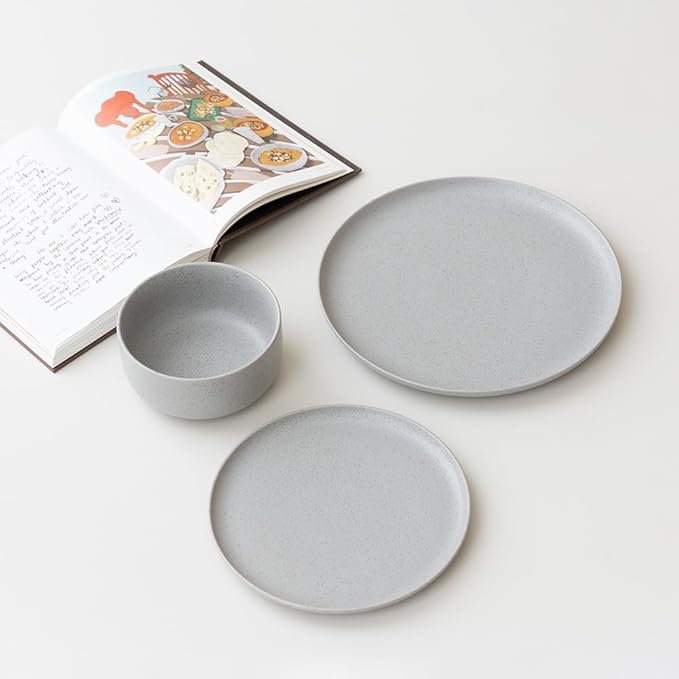 WENSHUO Dinner Plates Set of 6, Chip and Scratch Resistant (Sandstone Gray, 8.5 Inch)
