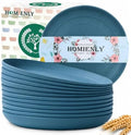 Homienly Large Dinner Plates 12 PCS Wheat Straw Plates for Bread & Butter 10 Inch Unbreakable Camping Plates for Salad, Steak, Microwave & Dishwasher Safe Serving Plates for Kitchen, Picnic, RV (Blue) by HOMIENLY