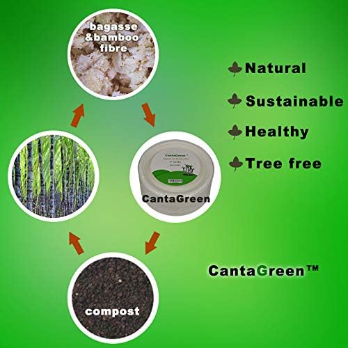 200 Count 6 Inch Small Heavy Duty Compostable Dessert Plates, Biodegradable Bagasse and Bamboo Fiber Paper Plate