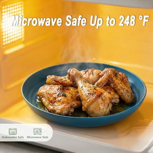 10 Inch Dinner Plates Set of 8, Unbreakable Wheat Straw Plates, Plastic Plates Reusable for Steak, Lunch, Microwave & Dishwasher Safe Kitchen Plate for Serving, Camping, Picnic, RV- Multi - Image 4