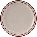 Tuxton China TBS-009 Plate, 9-1/2" Diameter, Round, Narrow Rim, Microwave and Dishwasher Safe, Oven Proof, Fully Vitrified, Ceramic, Bahamas, Pack of 24