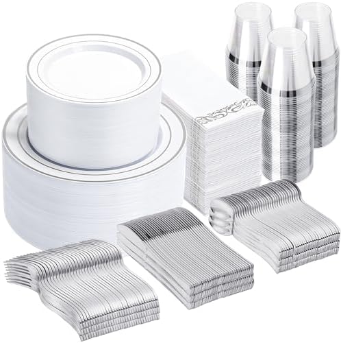 N9R 700PCS White and Silver Plastic Plates, Disposable Dinnerware Set by N9RTABLEWARE