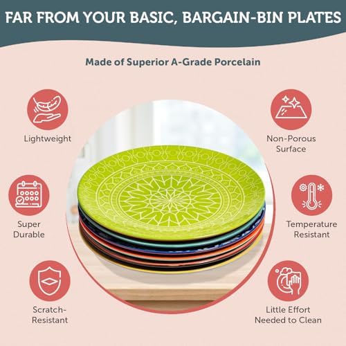 Annovero Dinner Plates, 10.5 Inch, Microwave & Dishwasher Safe, Set of 6 - Image 5