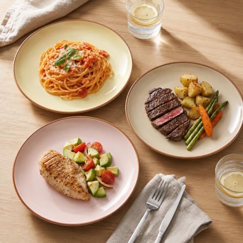 Dinner Plates Set of 6, 10 Inch Scratch Resistant Ceramic Plates, Pasta Plate, Salad Plate, for Main Course, Dishwasher and Microwave Safe, Warm Multicolor - Image 6
