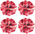 UP Poinsettias Melamine Dessert Plates, Floral-Shaped Small Serving Plates, for Appetizer, Snacks, and Side Dishes, Red, 7.5 x 7 Inch, Set of 4 by UPware