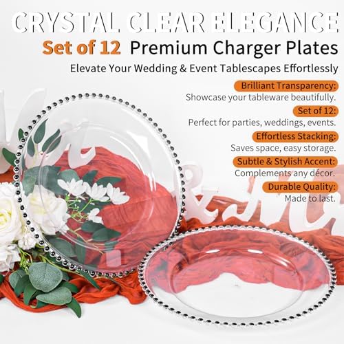 24 Pack Clear Charger Plates 13 Inch Acrylic Round Dinner Chargers with Black Beaded Rim, Plastic Round Decorative Plates for Kitchen Wedding Party Home and Tabletop Decoration - Image 6