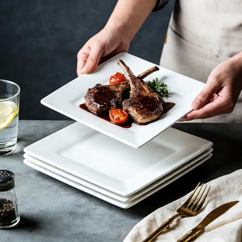 Dinner Plates, 9.8 Inch Square Dessert Plates, Ceramic Serving Plate for Salad, Pasta, Steak,Snacks, Set of 4 - Image 4