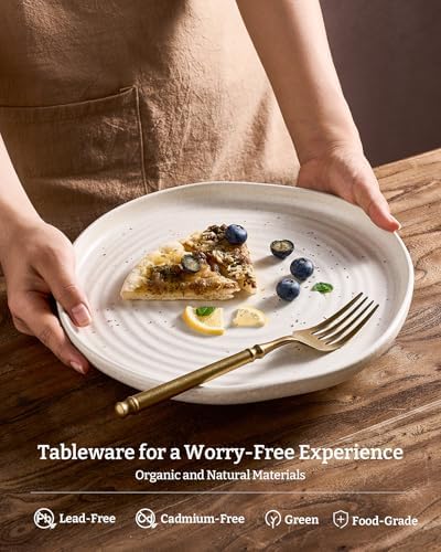 Famiware Pluto 12-Piece Stoneware Dinnerware Set, Matte Beige White - Image 5