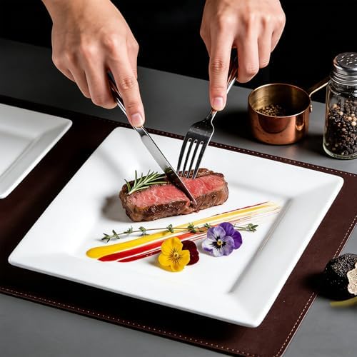 Dinner Plates, 9.8 Inch Square Dessert Plates, Ceramic Serving Plate for Salad, Pasta, Steak,Snacks, Set of 4 - Image 3