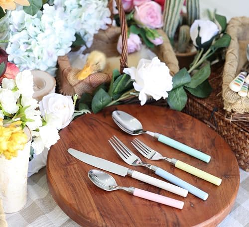 ANNOVA 20 Piece Silverware Set, Service for 4, Stainless Steel Colorful Pastel Tableware Kitchen Flatware Set Utensils, Includes Dinner Knives, Forks, Spoons, Salad Forks & Dessert Spoons (Mix 68) - Image 4