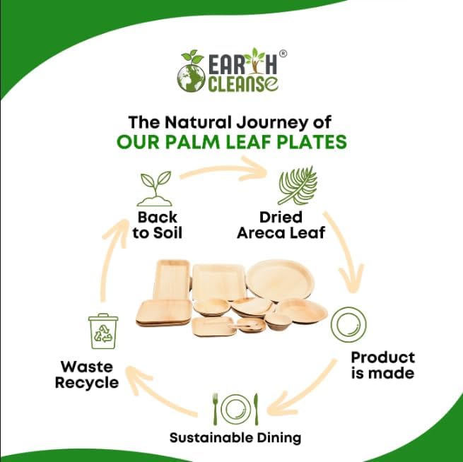4" Areca Palm Leaf Square Bowls Compostable Biodegradable Eco-Friendly Bowls Natural Disposable Bowls, Perfect for Picnic Catering, Dessert, and Wedding (Pack of 25)
