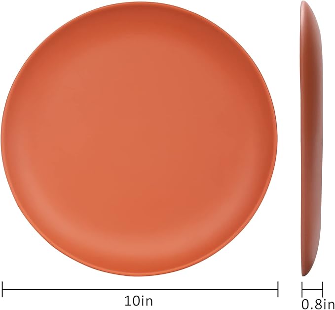 TP 10" Plate Set, 6-Piece Melamine Round Dinner Plates, Unbreakable Weighty Serving Dishes for Home, Outdoor Party, Restaurants, Orange